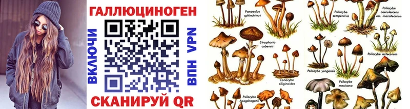 мега маркетплейс  Саки  Галлюциногенные грибы Psilocybe 