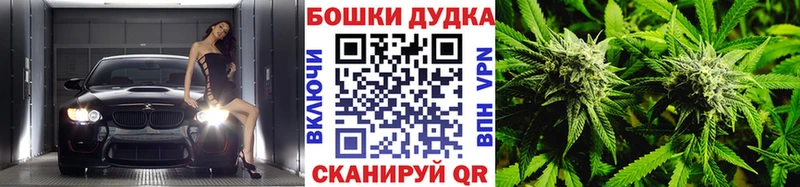 Канабис Amnesia  mega   Саки 
